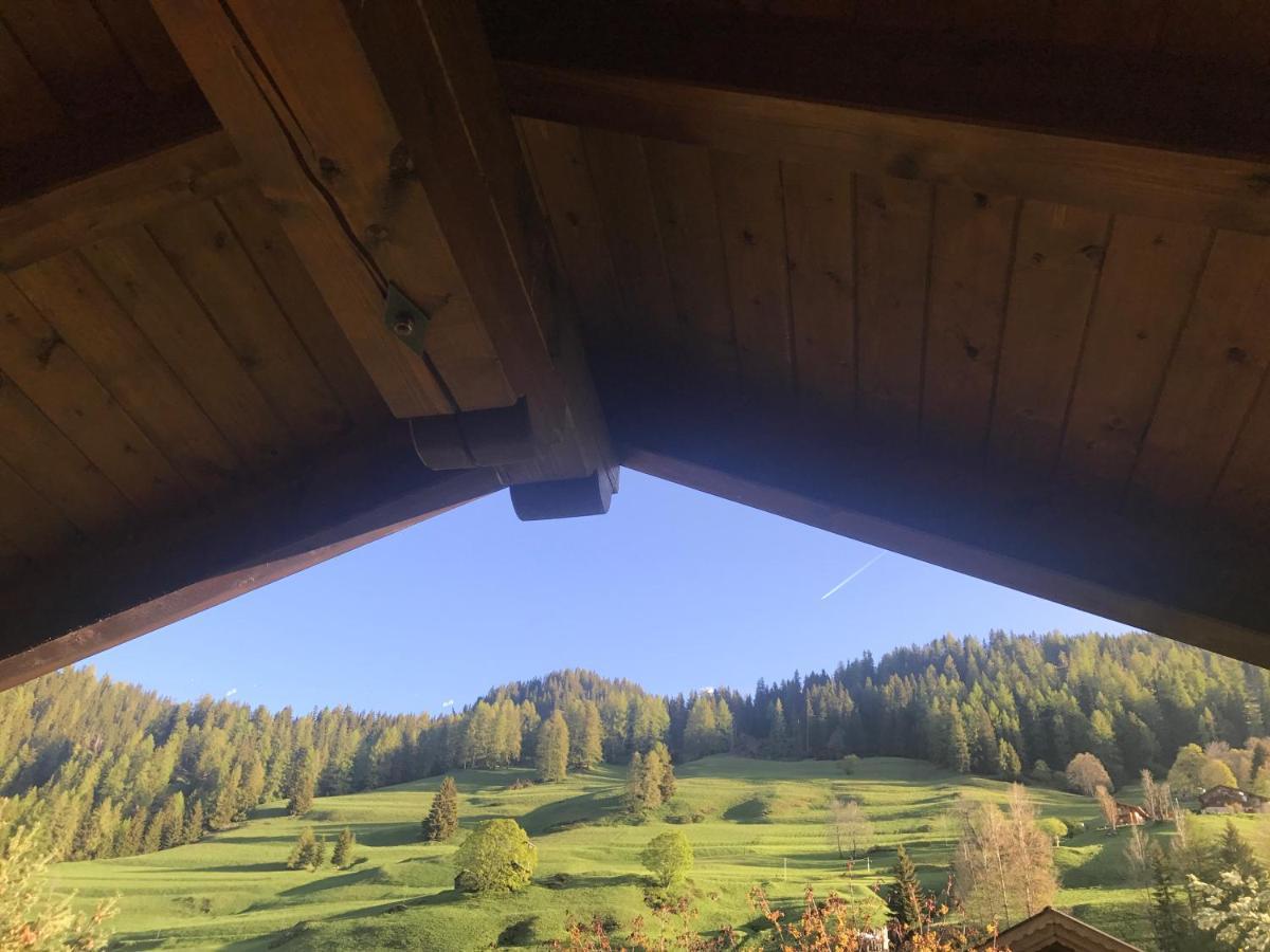 Cesa Mandi E Miky Apartman Canazei Kültér fotó